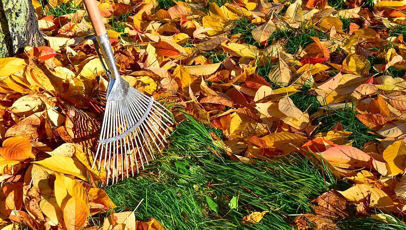 Die Temperaturen sinken, die Blätter fallen. Zeit, den Garten und Balkon auf den Winter vorzubereiten. Die Temperaturen sinken, die Blätter fallen. Zeit, den Garten und Balkon auf den Winter vorzubereiten.