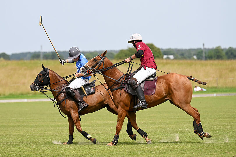 Das Polo-Match im "La Tarde Polo Club" in Holzkirchen fand bereits zum vierten Mal statt.