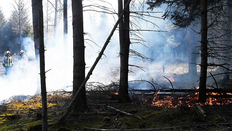 Insgesamt brannte fast ein Hektar frisch aufgeforsteter Wald. Die Feuerwehr musste das Wasser zur Einsatzstelle transportieren...