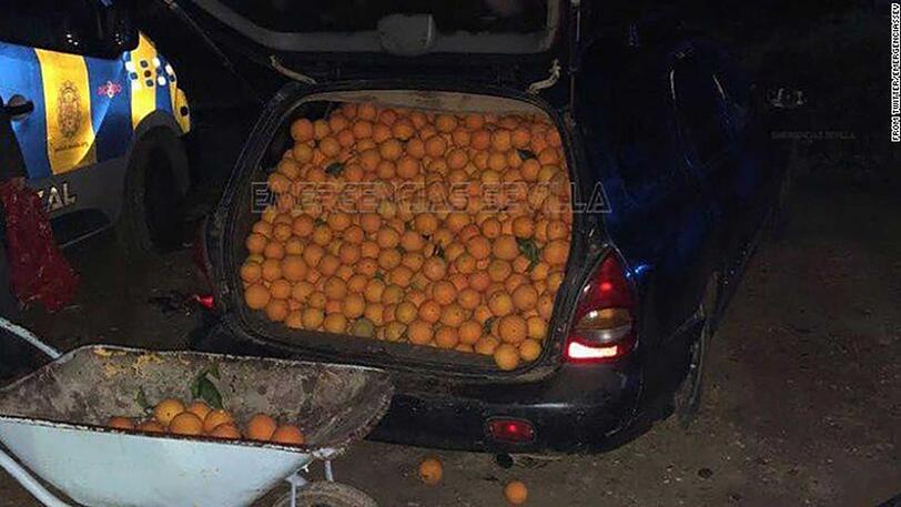 Im zweiten Auto waren auch noch ein paar Orangen "versteckt."