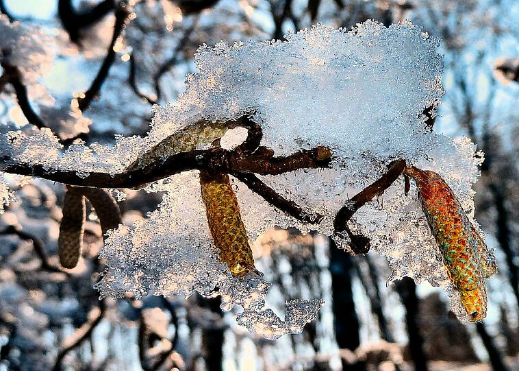 "Der Winter weicht... im wahrsten Sinne des Wortes", schreibt AZ-Leser Richard Brosig über sein schönes Foto