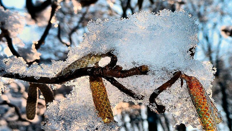 "Der Winter weicht... im wahrsten Sinne des Wortes", schreibt AZ-Leser Richard Brosig über sein schönes Foto "Der Winter weicht... im wahrsten Sinne des Wortes", schreibt AZ-Leser Richard Brosig über sein schönes Foto