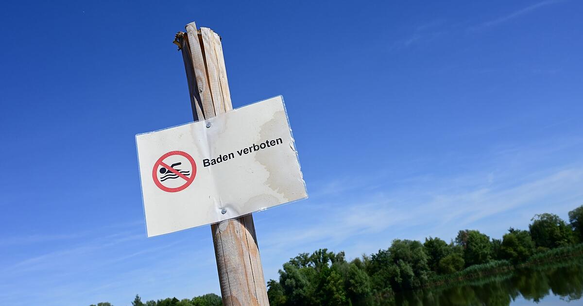Badeverbot-am-Rothsee-aufgehoben-Wasserqualit-t-stimmt