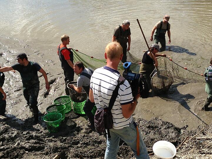 Die Suche nach Alligator-Schildkröte "Lotti" geht weiter. Hier sehen Sie die Bilder vom Badesee in Irsee.