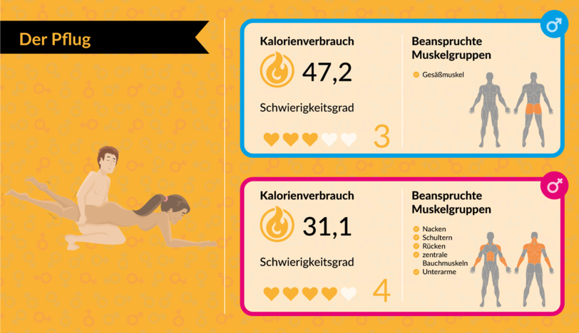Mit Bettsport fit für den Sommer: Mit Sex abnehmen: Welche Stellungen am meisten Kalorien verbrennen - AZ-Ratgeber - Abendzeitung München