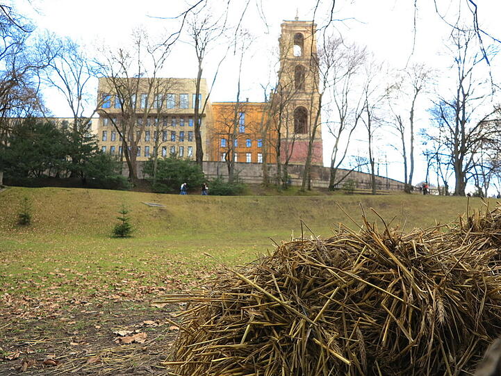 Weil heuer der Winter ausgefallen ist, liegt hier einfach nur sinnlos Stroh herum.