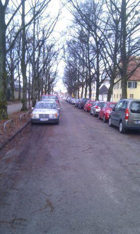 Straßen- und Grünstreifenpflege: Fehlanzeige. Die Bilder zum Durchklicken.