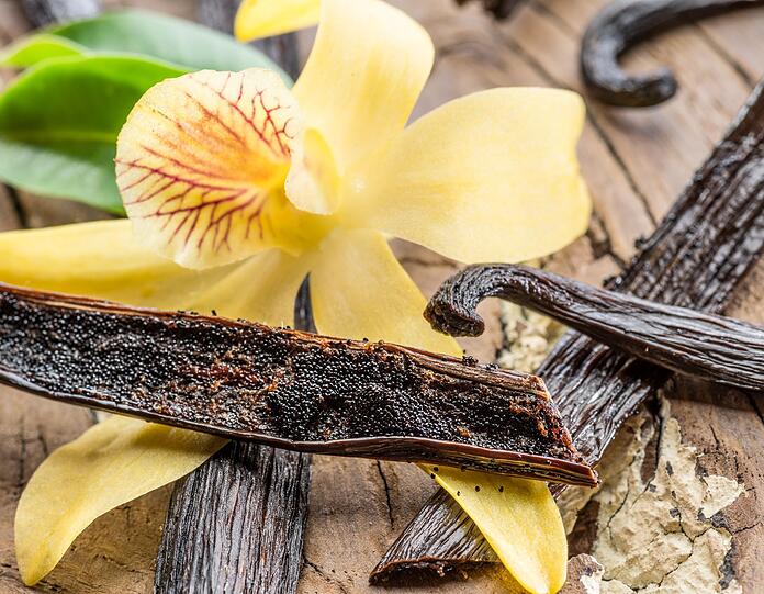 Die Königin der Gewürze wird in der ganzen Welt sehr geschätzt: Vanille. Das typische Aroma entsteht jedoch erst nach der Fermentierung der Schote. Zuvor ist die Pflanze völlig geschmacksneutral. Dann aber kann das Gewürz vielseitig eingesetzt werden: als süße Zutat in Kaffee oder Tee, Kuchen, Gebäck oder klassisch in Milch für Pudding oder Grießbrei. Die Königin der Gewürze wird in der ganzen Welt sehr geschätzt: Vanille. Das typische Aroma entsteht jedoch erst nach der Fermentierung der Schote. Zuvor ist die Pflanze völlig geschmacksneutral. Dann aber kann das Gewürz vielseitig eingesetzt werden: als süße Zutat in Kaffee oder Tee, Kuchen, Gebäck oder klassisch in Milch für Pudding oder Grießbrei.