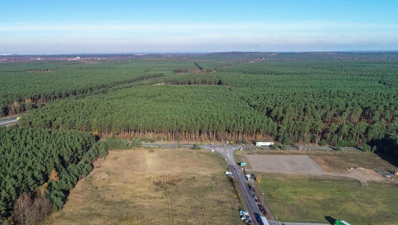 Im Waldgebiet plant Tesla den Bau einer Fabrik. Im Waldgebiet plant Tesla den Bau einer Fabrik.
