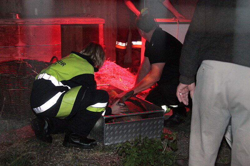 Feuerwehr und Wasserwacht retteten die Rehe aus dem wWsser und brachten sie zum Aufwärmen in eine Scheune.