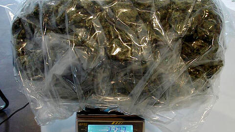Insgesamt über dreißig Kilo Marihuana stellten die Fahnder sicher.