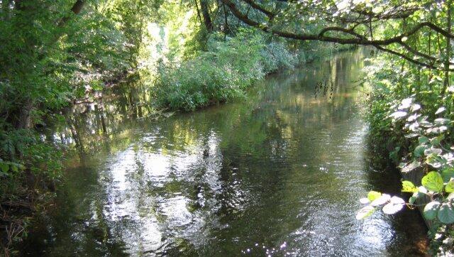 Der Würmkanal an der Einmündung des Feldmochinger Mühlbachs. Den gibt's seit 1601. Der Würmkanal an der Einmündung des Feldmochinger Mühlbachs. Den gibt's seit 1601.