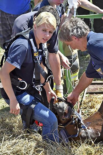 Das Pferd wurde erst ruhig gestellt und dann mittels Seilwinde gerettet.