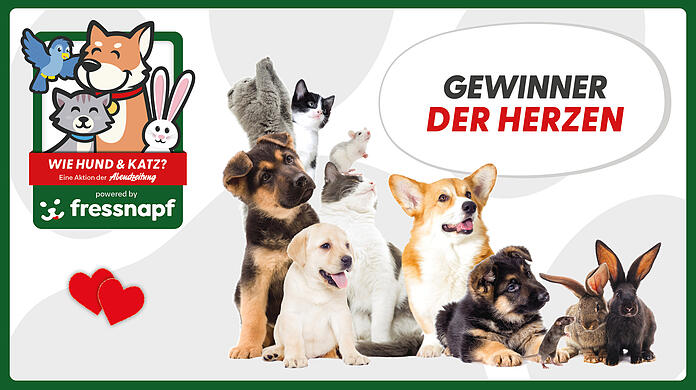 Wie Hund & Katz: Gewinner der Herzen