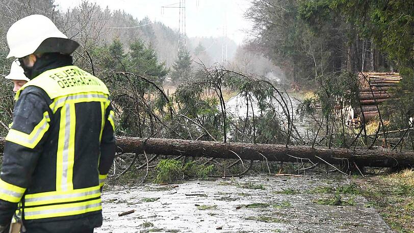Auch in Oberhaching stürzten Bäume auf die Straße.