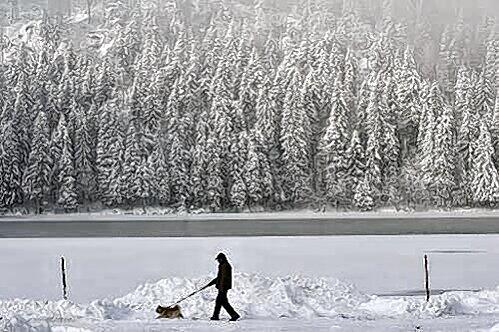 Wenn das keine Winter-Idylle ist: Dieses Herrchen und sein Hund genießen das Gassigehen am tief verschneiten Spitzingsee.
