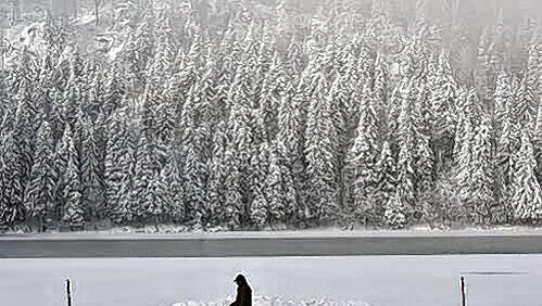 Wenn das keine Winter-Idylle ist: Dieses Herrchen und sein Hund genießen das Gassigehen am tief verschneiten Spitzingsee. Wenn das keine Winter-Idylle ist: Dieses Herrchen und sein Hund genießen das Gassigehen am tief verschneiten Spitzingsee.