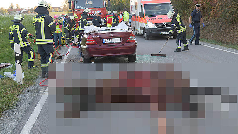 Ein Mercedes mit Totalschaden, ein schwerverletzter Autofahrer und zwei tote Pferde auf der Landstraße. Die schrecklichen Bilder aus Gangkofen