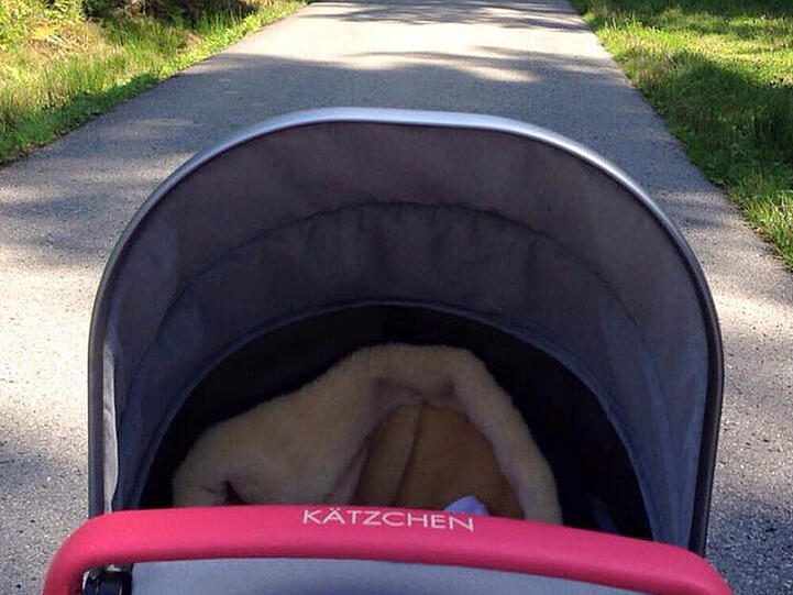 Dieses Foto vom Spaziergang teilte Daniela Katzenberger mit ihren Fans