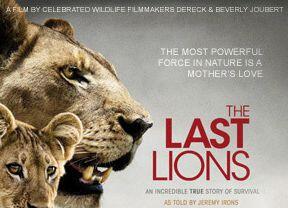 Das Filmplakat von "The Last Lions": Am Dienstag, 3. September, ist Preview im Filmtheater am Sendlinger Tor.