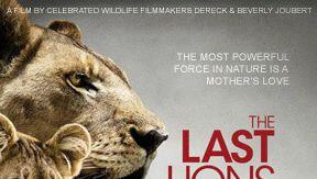 Das Filmplakat von "The Last Lions": Am Dienstag, 3. September, ist Preview im Filmtheater am Sendlinger Tor. Das Filmplakat von "The Last Lions": Am Dienstag, 3. September, ist Preview im Filmtheater am Sendlinger Tor.