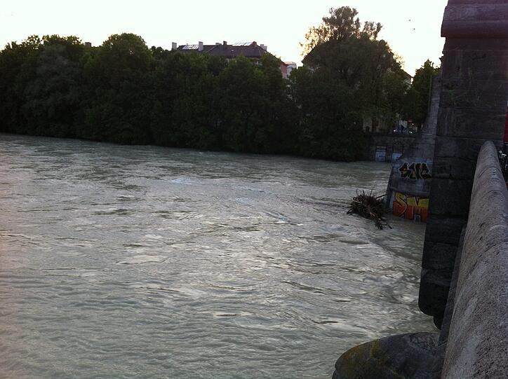 ... hier wurden Äste angespült...