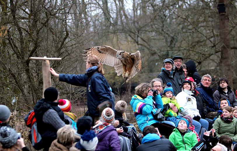 Die Greifvogel-Show im Tierpark hat jetzt eine richtige Zuschauertribüne bekommen. Am Dienstag wurde sie eröffnet.