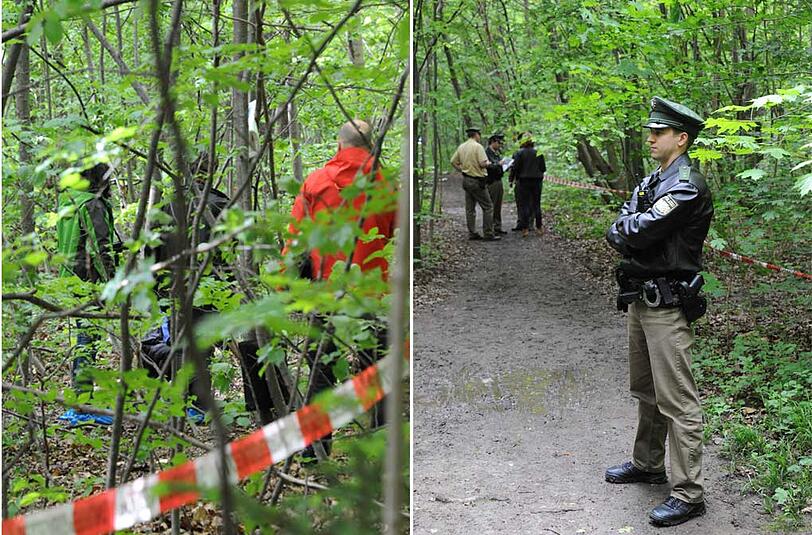 Menschliche Schädelknochen hat die Polizei im Kapuzinerhölzl in der Menzinger Straße gefunden. Die Bilder von der Spurensicherung...