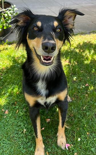 Mia
