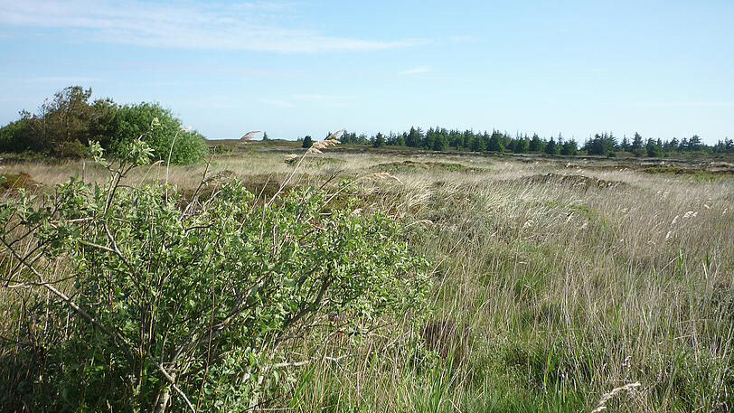 Landschaft auf Römö.
