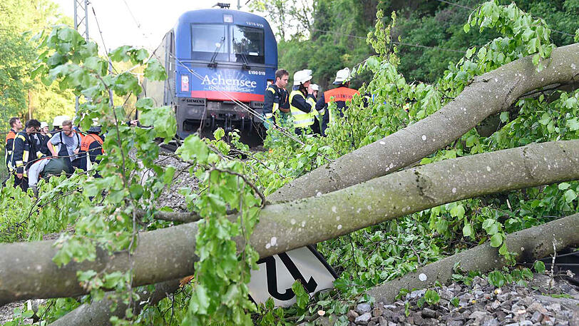 Stundenlange Sperre: Ein umgestürzter Baum hat bei Grafing im Landkreis Ebersberg die Zugstrecke München-Rosenheim blockiert. Im Einsatz waren starke Kräfte des Rettungsdienstes, darunter mehrere Schnelleinsatzgruppen sowie die Feuerwehren Grafing, Nettelkofen, Aßling, Straußdorf, Loitersdorf, Elkofen, Ebersberg und Niclasreuth. Die Bilder von der schwierigen Bergung.