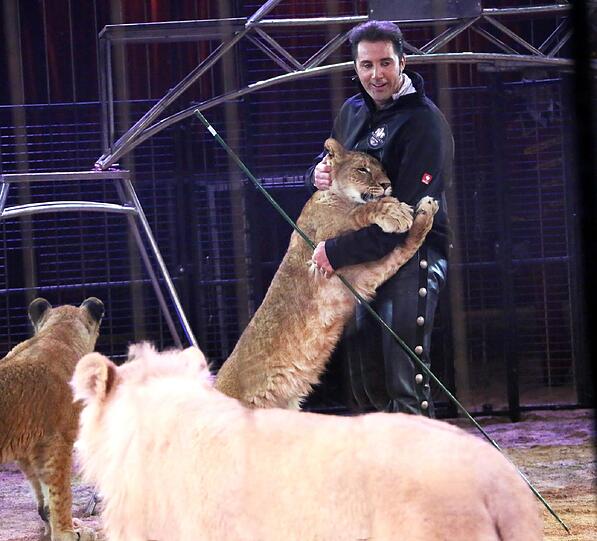 Die Löwen-Show von Martin Lacey jr.