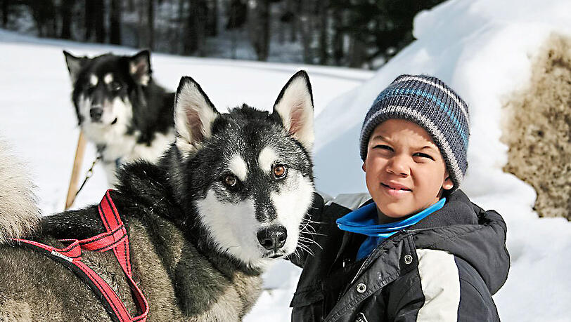 Der Husky-Hof Dreisessel: Hier kann man Huskys treffen. Der Husky-Hof Dreisessel: Hier kann man Huskys treffen.