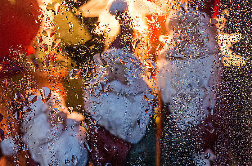 Regen statt Schnee an Weihnachten? Die Wetterdienste halten das für wahrscheinlich.