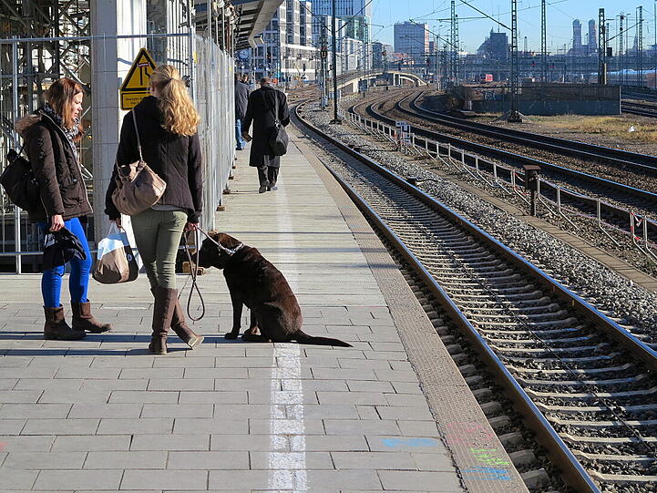 Er weiß, was gut tut: Dieser Hund genießt am Montag die warme Wintersonne. Recht hat er.