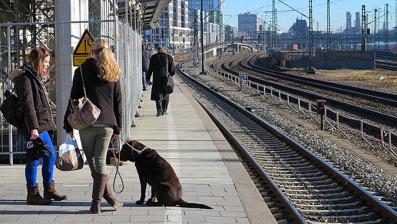 Er weiß, was gut tut: Dieser Hund genießt am Montag die warme Wintersonne. Recht hat er. Er weiß, was gut tut: Dieser Hund genießt am Montag die warme Wintersonne. Recht hat er.