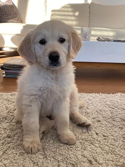 Meilo