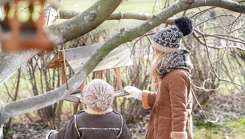 Einfache Maßnahmen helfen den heimischen Vögeln über den Winter.