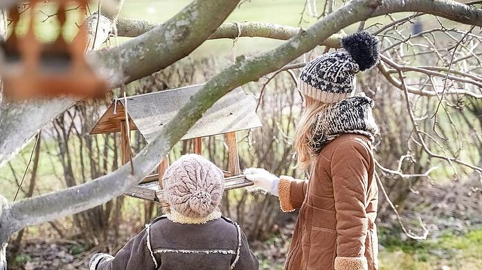 Einfache Maßnahmen helfen den heimischen Vögeln über den Winter.