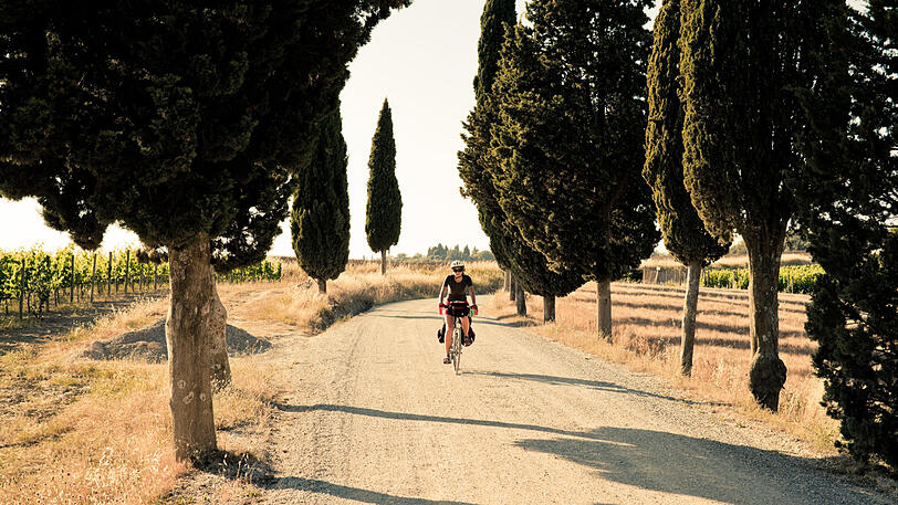 Mit dem Fahrrad durch das Chianti-Gebiet.