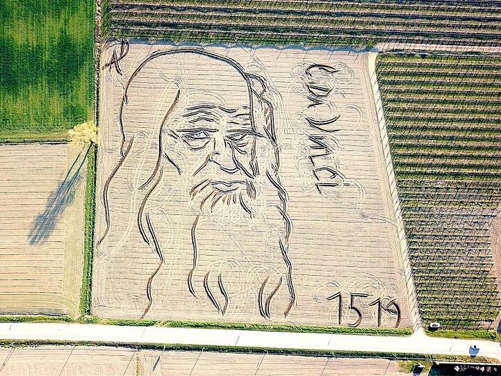Auf einer Fläche von 27.000 Quadratmetern hat der Künstler und Landwirt Dario Gambarin ein Porträt von Leonardo da Vinci in ein Feld "gezeichnet".