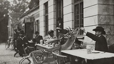 Ganz schön zutraulich! Auf diesem Foto aus dem Jahr 1920 wird ersichtlich, warum der Hirschgarten heißt, wie er heißt. Klicken Sie sich hier durch die historischen Biergarten-Bilder. Prost!