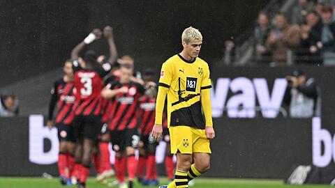 Könnte den BVB verlassen: Giovanni Reyna.