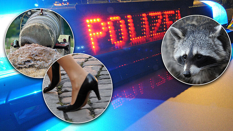 Ungewöhnliche Polizei- und Feuerwehreinsätze gab es auch heuer in Bayern zuhauf. (Symbolbilder)