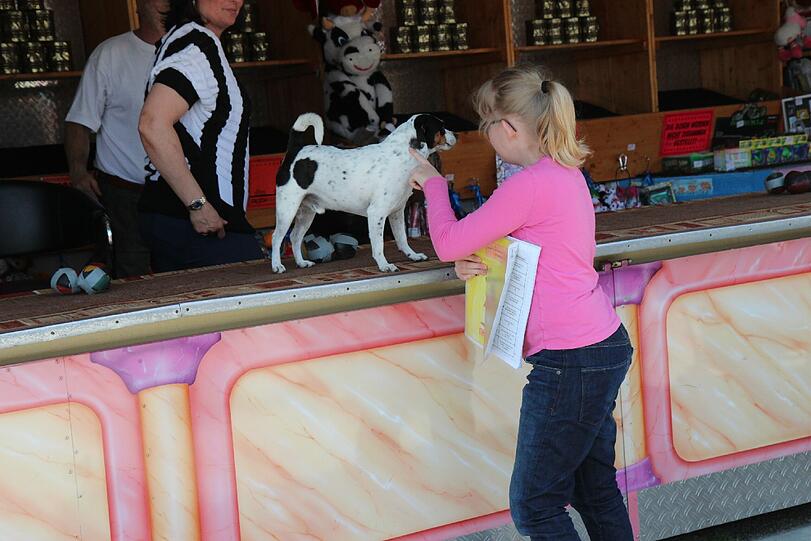 Oh, ein Hund!