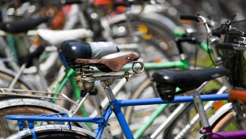 Die Fahrrad-Branche ist schon länger im Aufwind. Die Fahrrad-Branche ist schon länger im Aufwind.