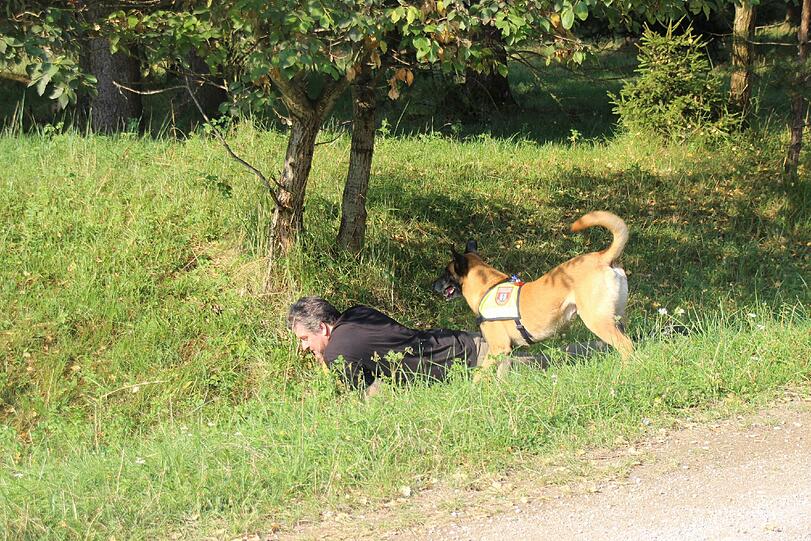 Die Rettungshundestaffel der Freiwilligen Feuerwehr Aschheim beim Training in Garching.