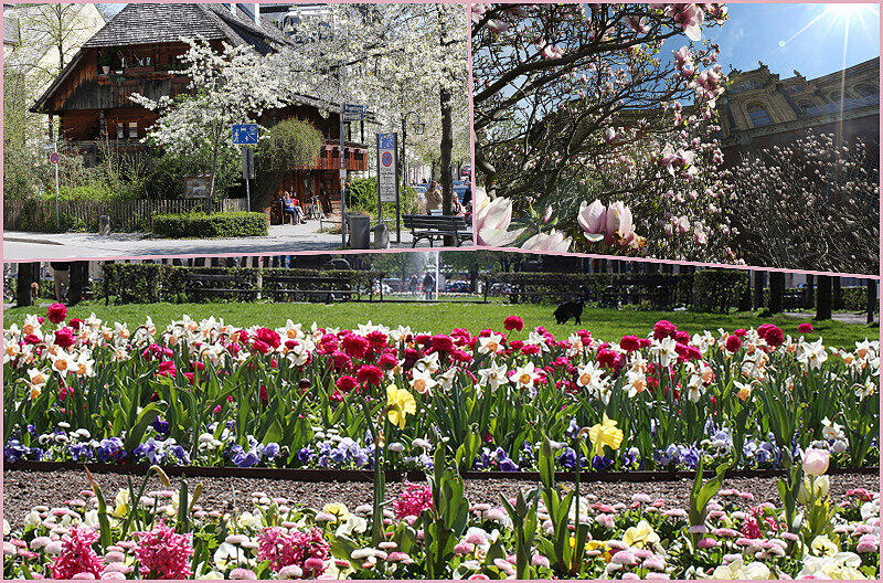 Haidhausen im Frühling.
