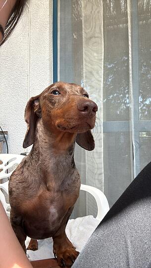 Rudi: Er ist der aller beste Freund den man sich nur wünschen kann.