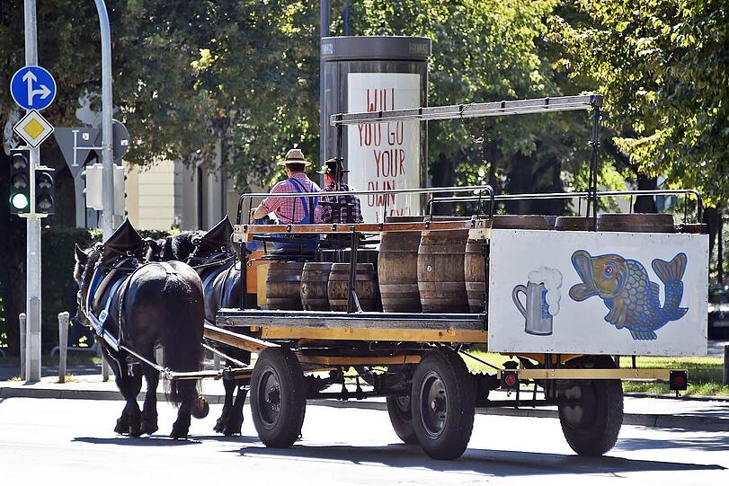Die Wiesn steht vor der Tür: Deshalb schickt die Augustiner-Brauerei schon mal ihr erstes Gespann zur Probefahrt.